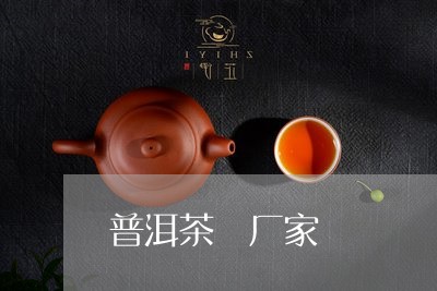 普洱茶 厂家/2023042813952